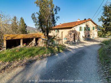 immobiliare Firenze